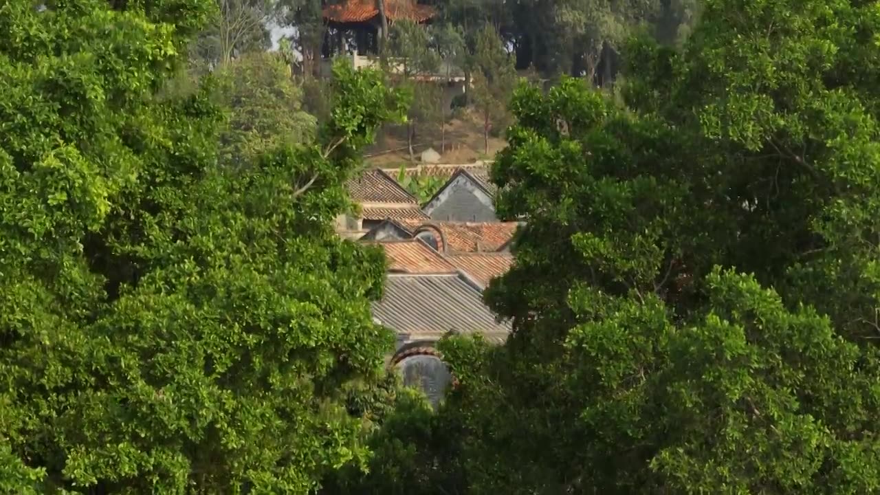 广东 佛山 三水 长岐古村 传统村落视频下载