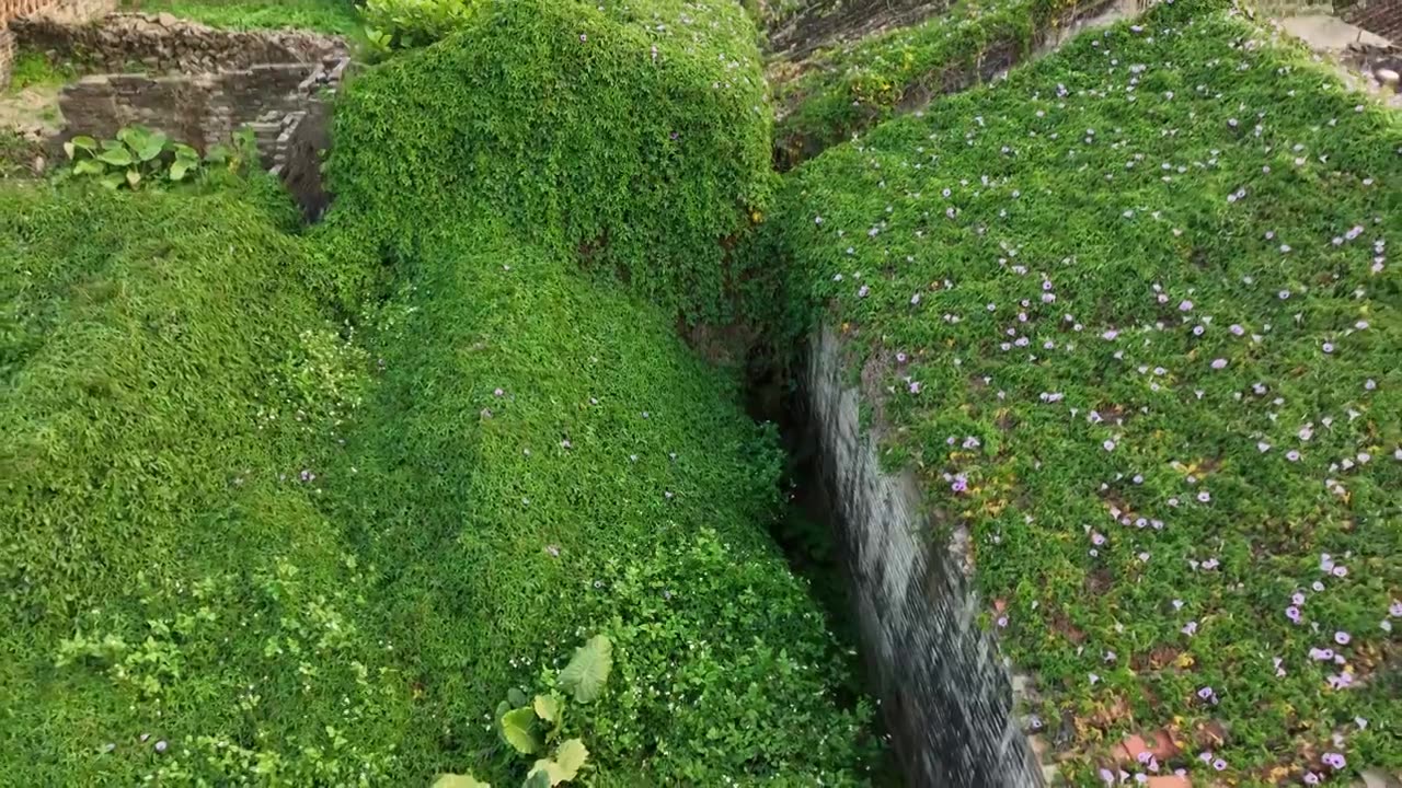 广东 佛山 三水 长岐古村 传统村落视频素材