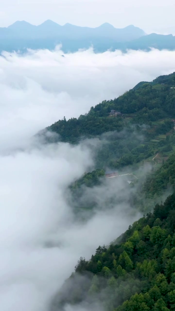 航拍湖南张家界市桑植县白石乡南滩草场正版高清视频素材