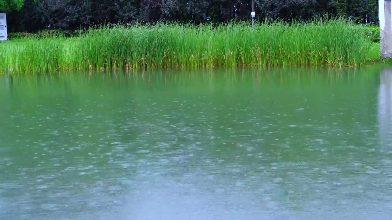 雨季湖水下雨雨滴波纹视频素材