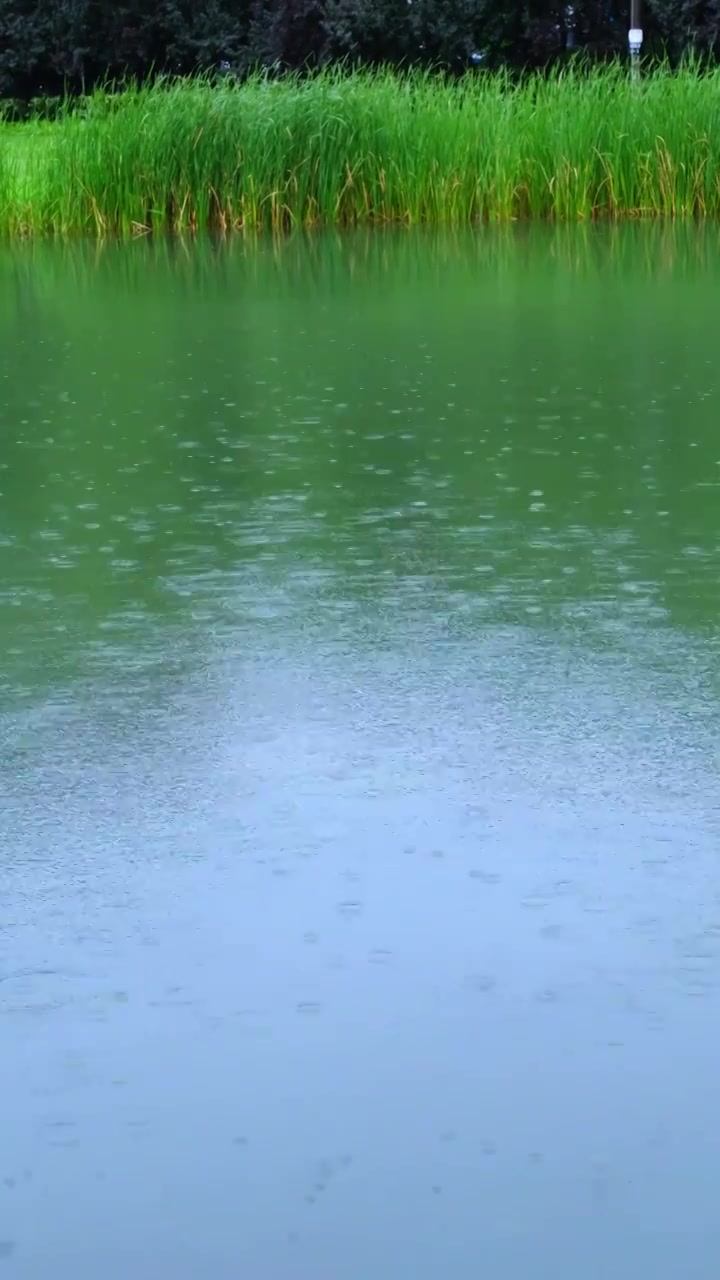 雨季湖水下雨雨滴波纹视频素材