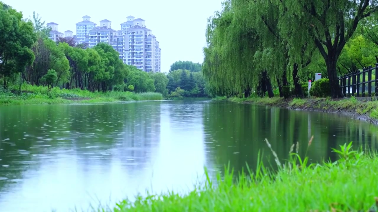 河流下雨在水面上，柳树反射，居住区建筑，草，雨季视频素材