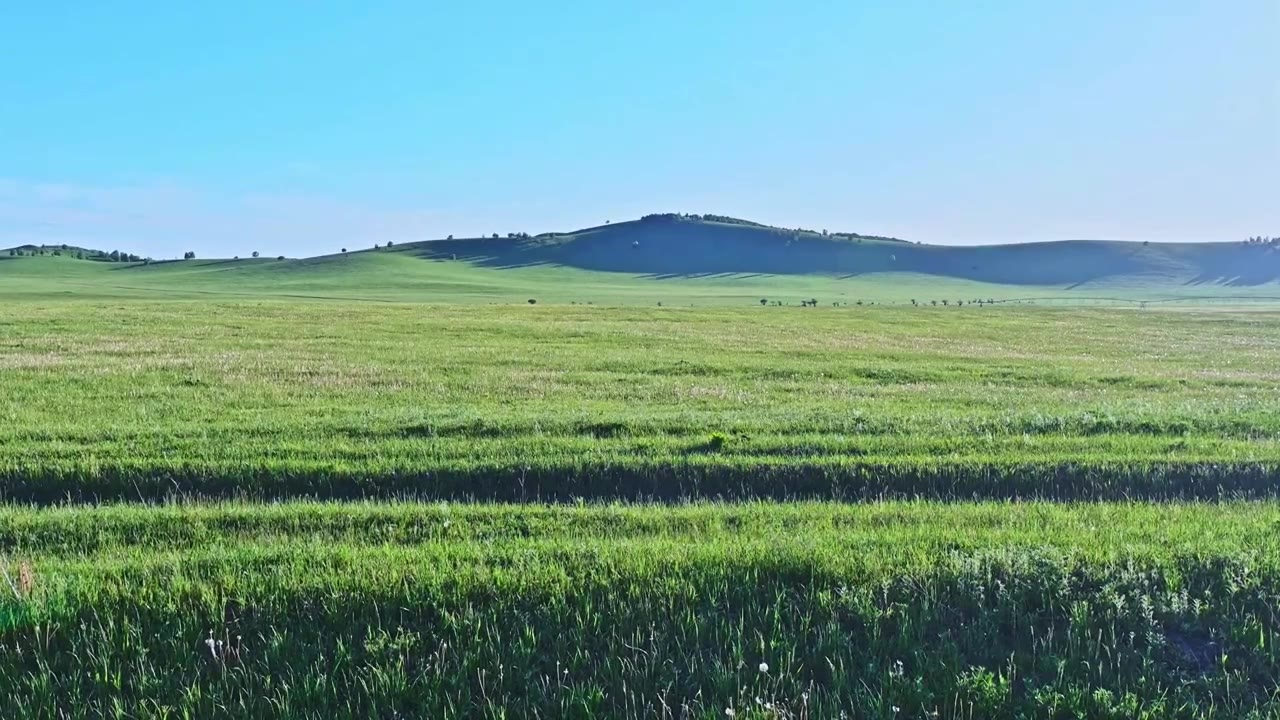 夏季乌兰布统绿色草原蓝天风光视频素材