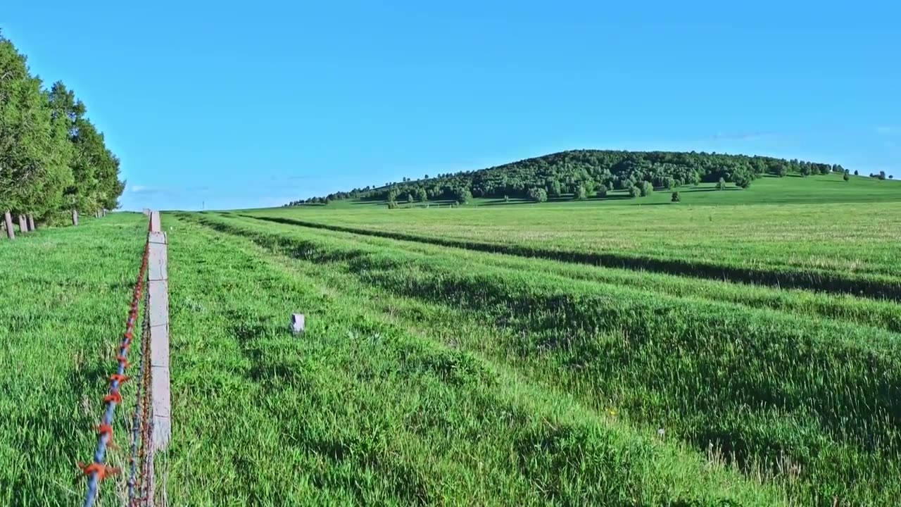 夏季乌兰布统绿色草原蓝天风光视频素材