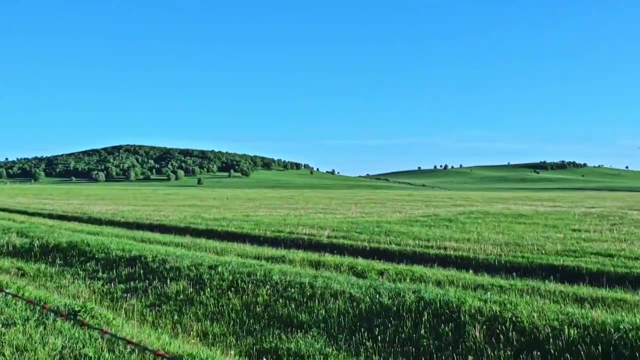 夏季乌兰布统绿色草原蓝天风光视频素材