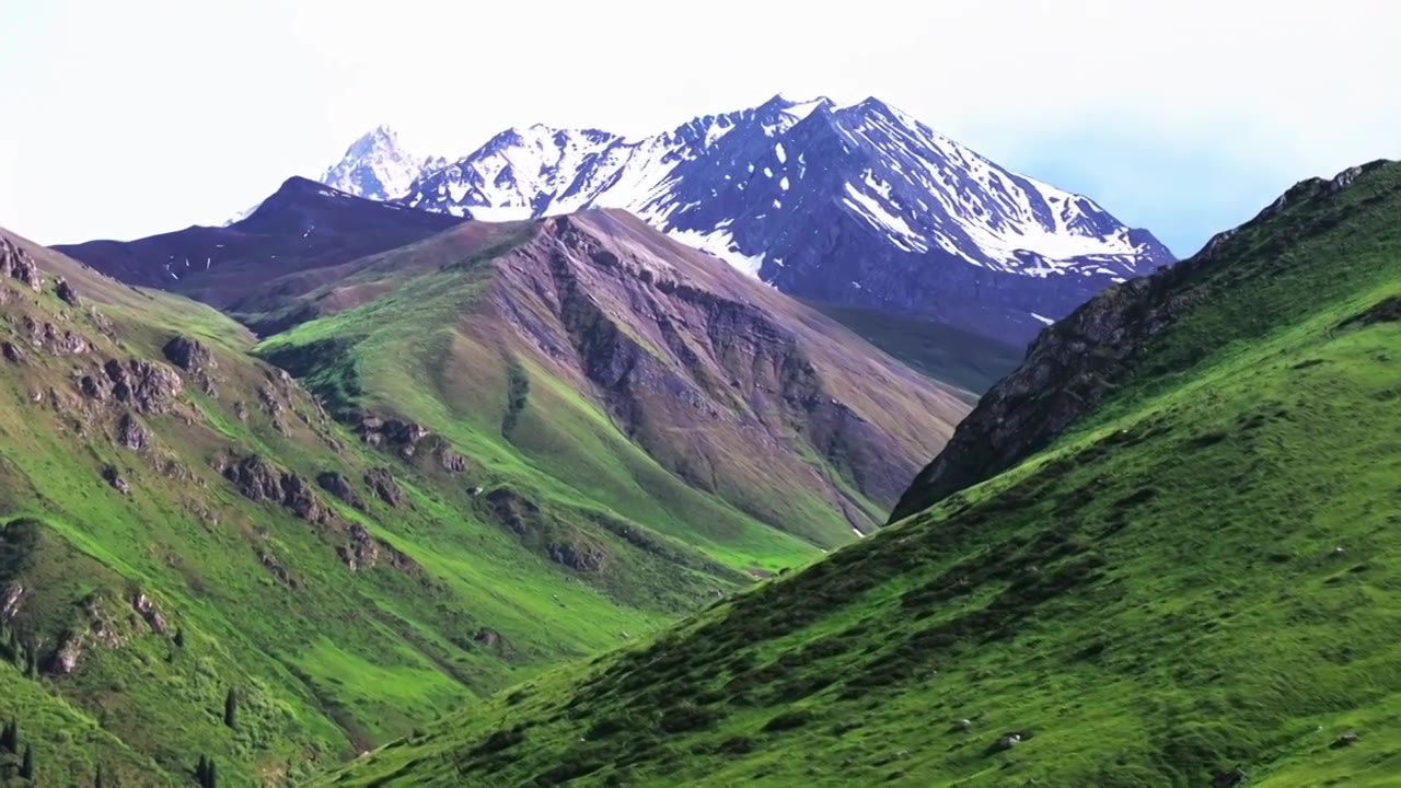 新疆伊犁伊昭公路白石峰周围草原雪山风景视频素材