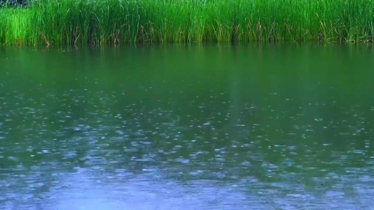 下雨天雨滴在水面波纹视频素材