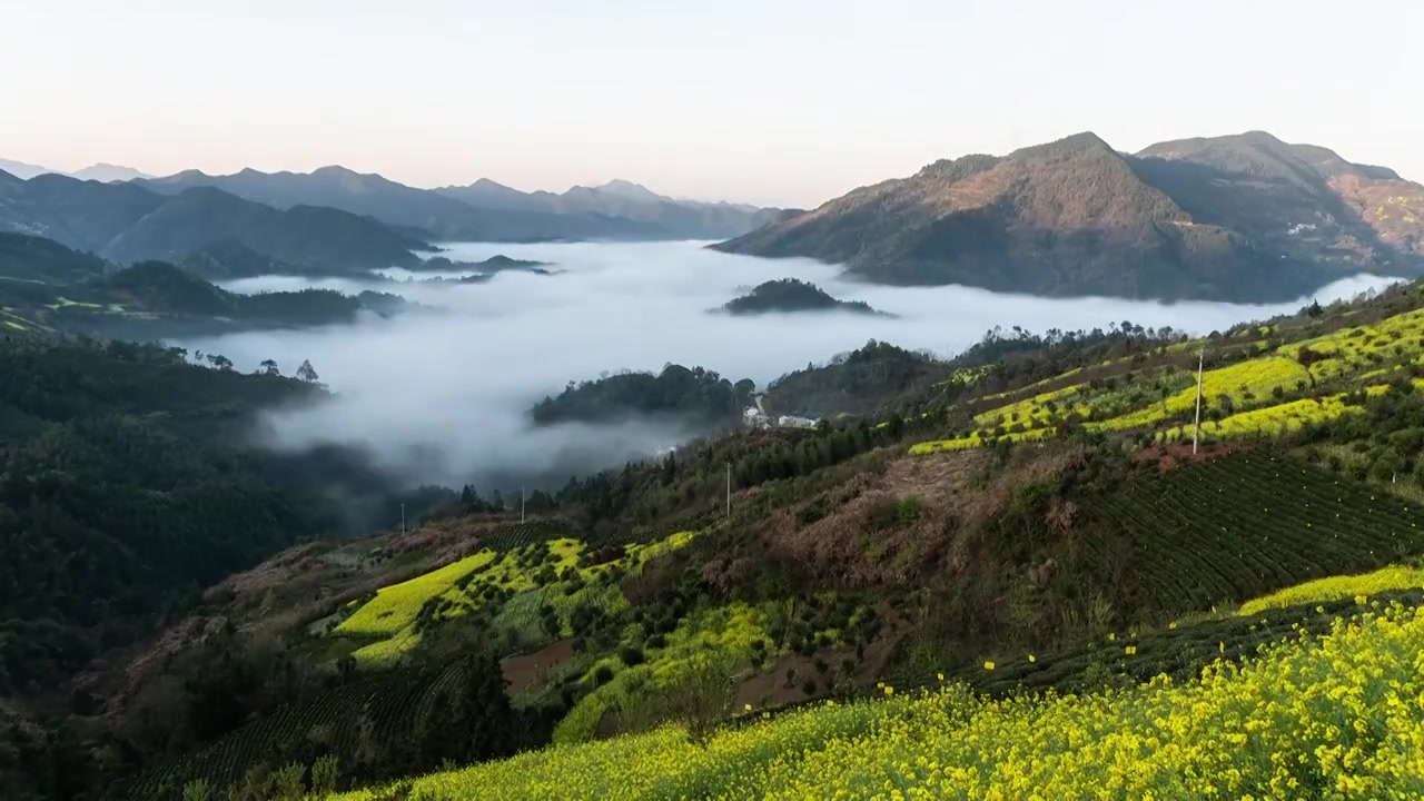 合集——皖南坡山村春色视频素材