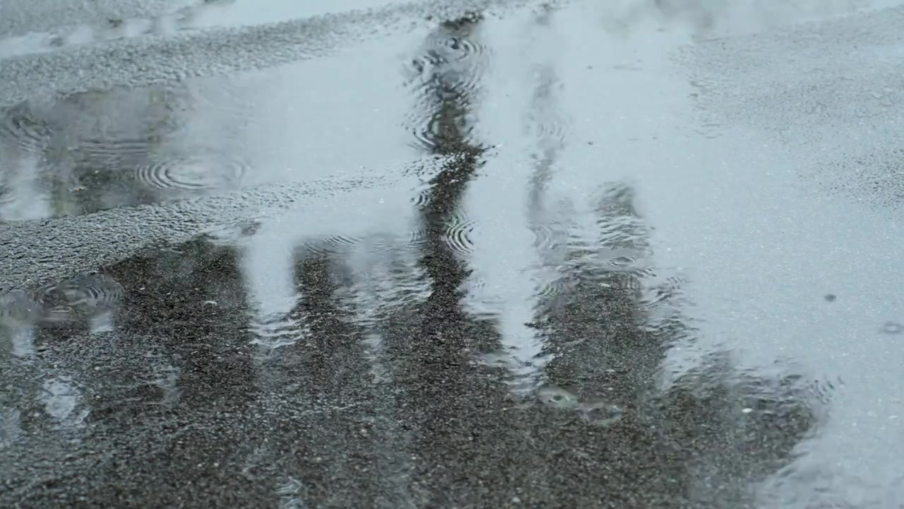 雨点落在路面上，水坑树的倒影视频素材