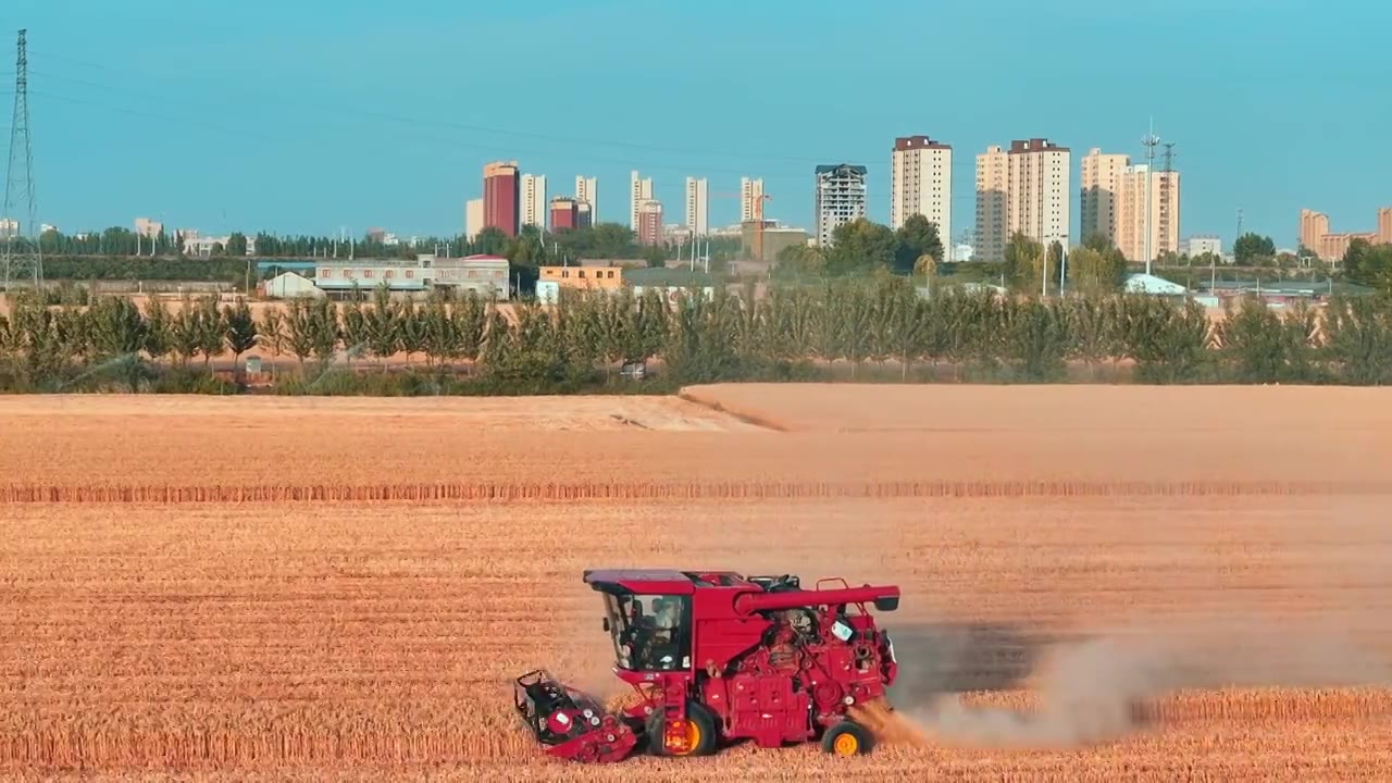 收割机在麦田作业远处是城市的楼房视频素材