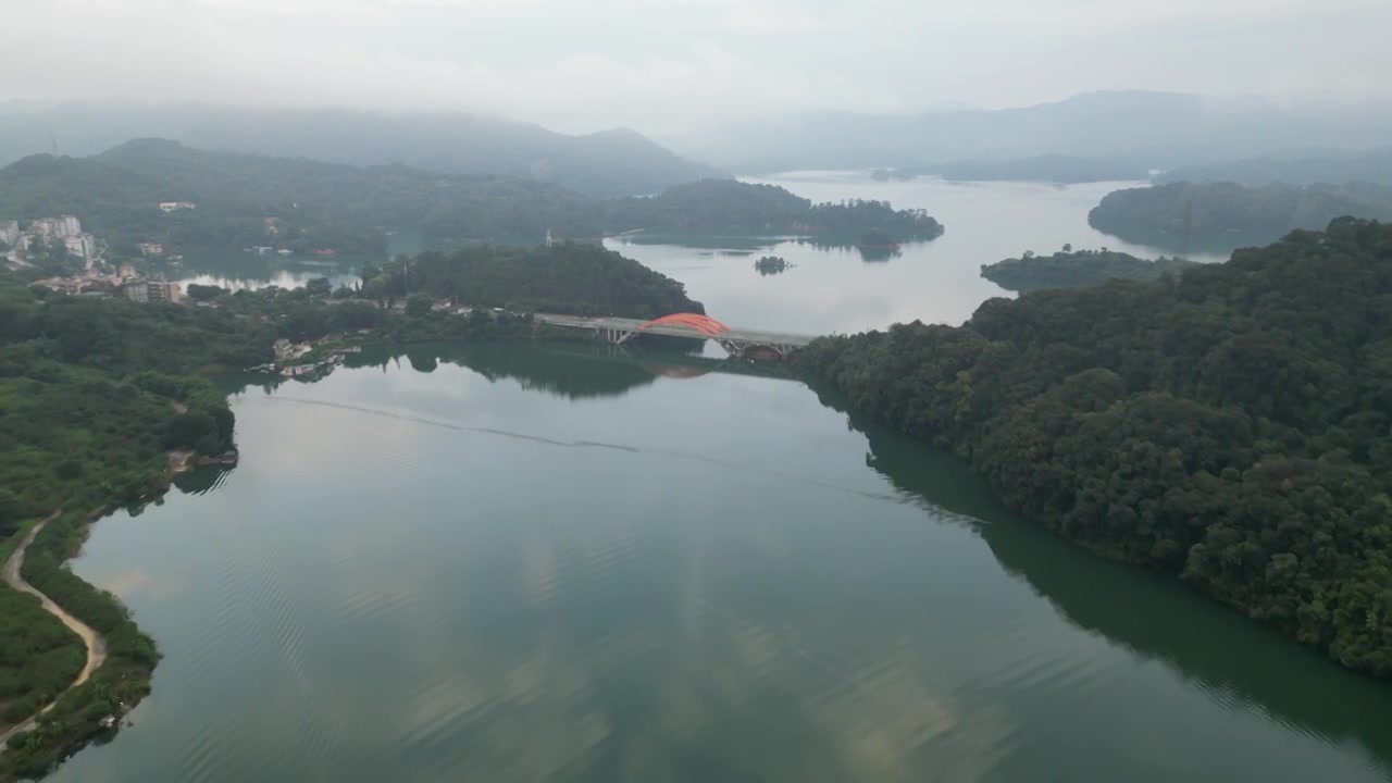 广州流溪河国家森林公园视频素材