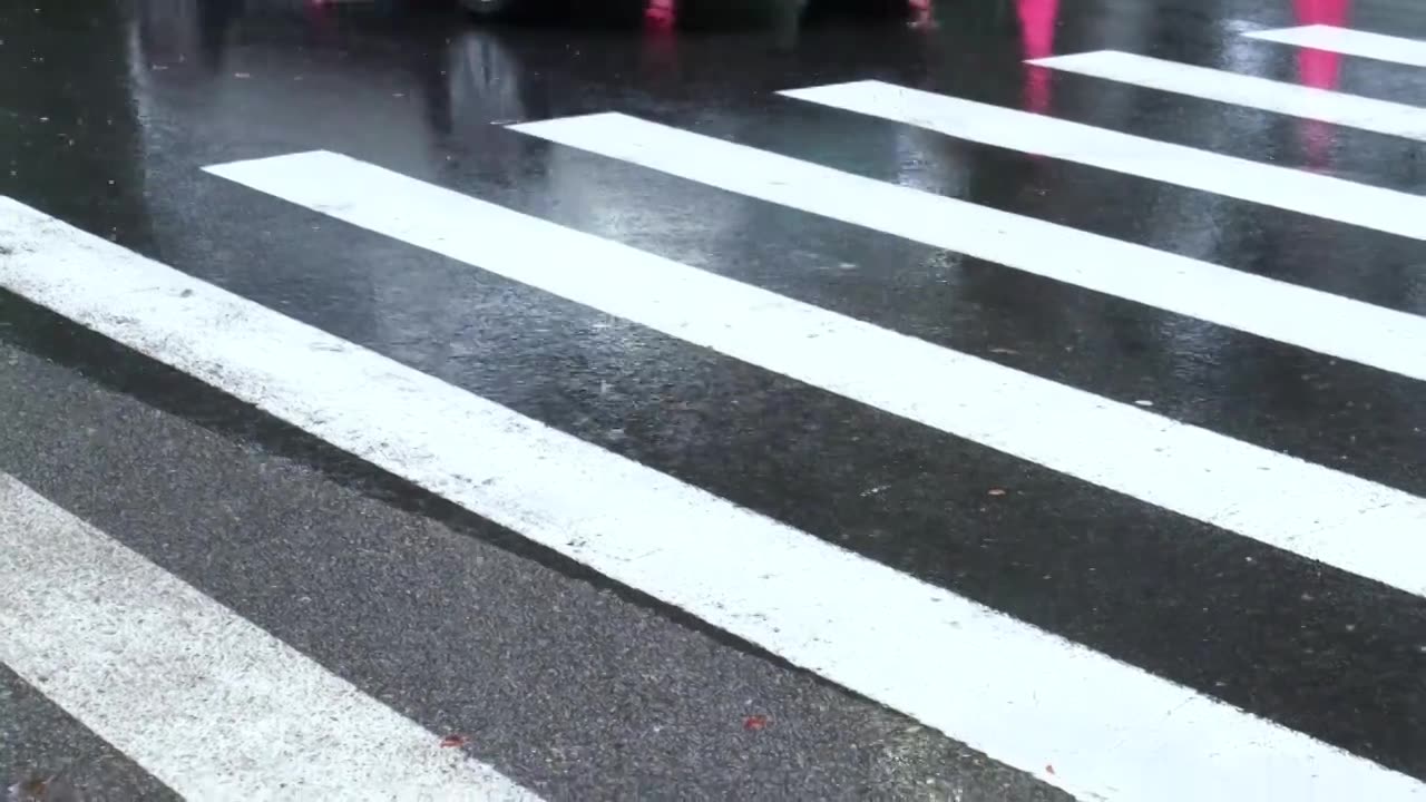 市区路，斑马线，下雨视频素材