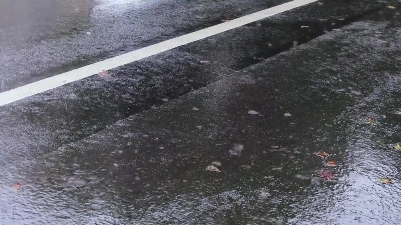 市区路，下雨，沥青视频素材