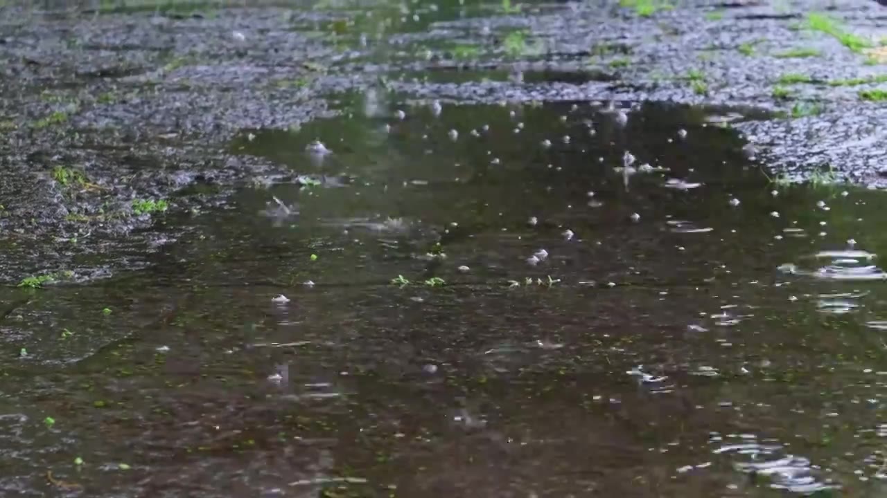 梅雨季节，雨滴，路面水坑视频素材