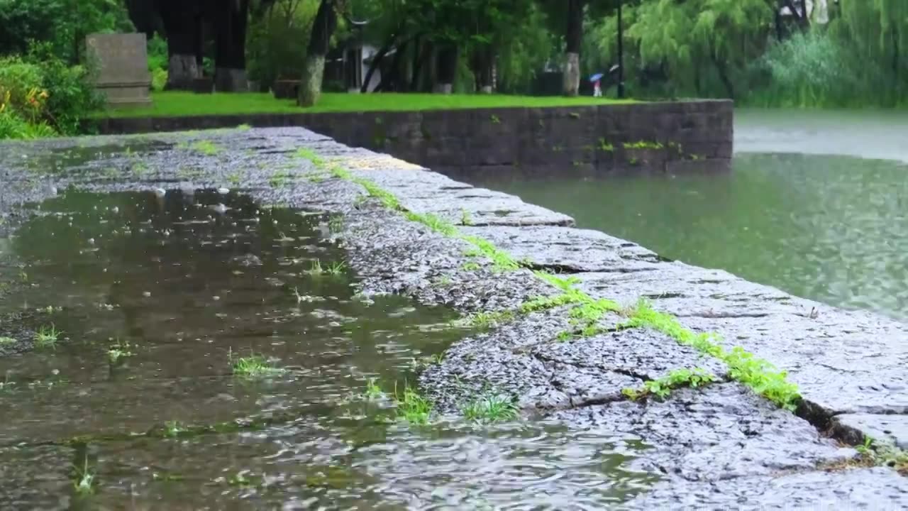 户外下雨天，水坑，自然公园，水面视频素材