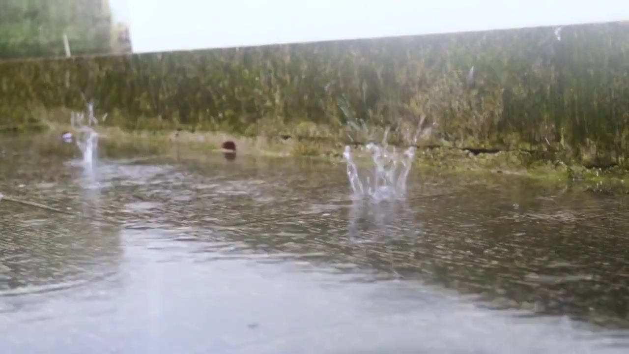 雨滴落在石面上视频素材