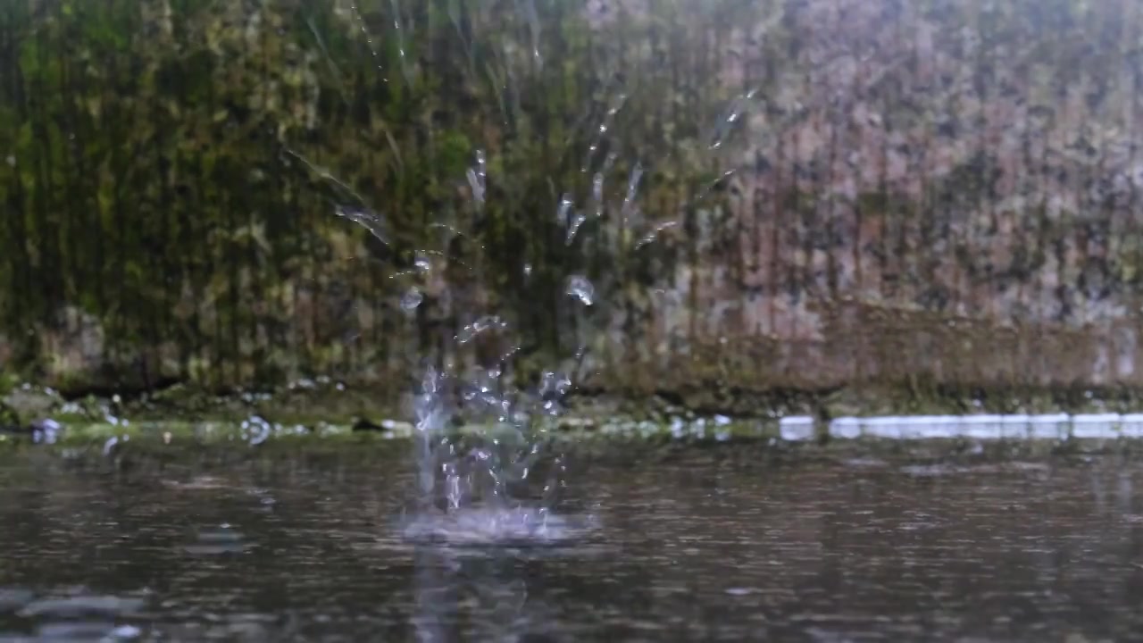 雨滴落在石面上视频素材