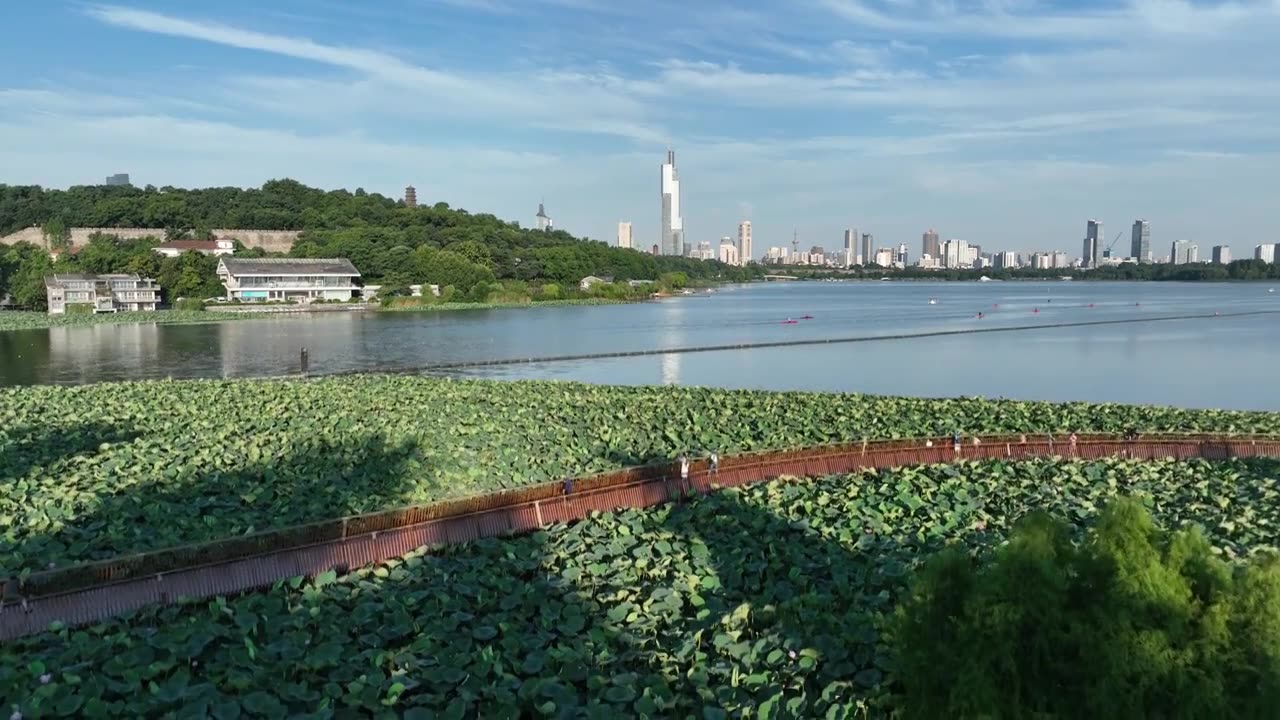 清晨的玄武湖风景视频素材