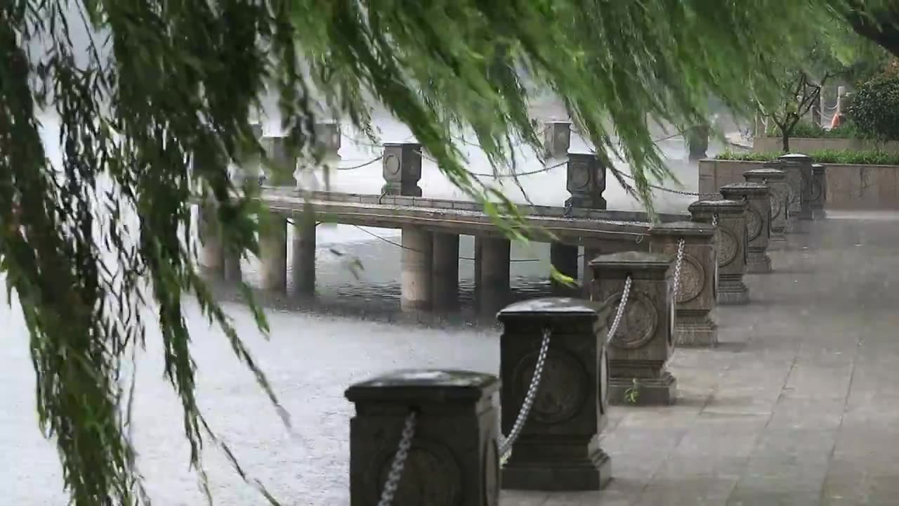 下雨天视频下载