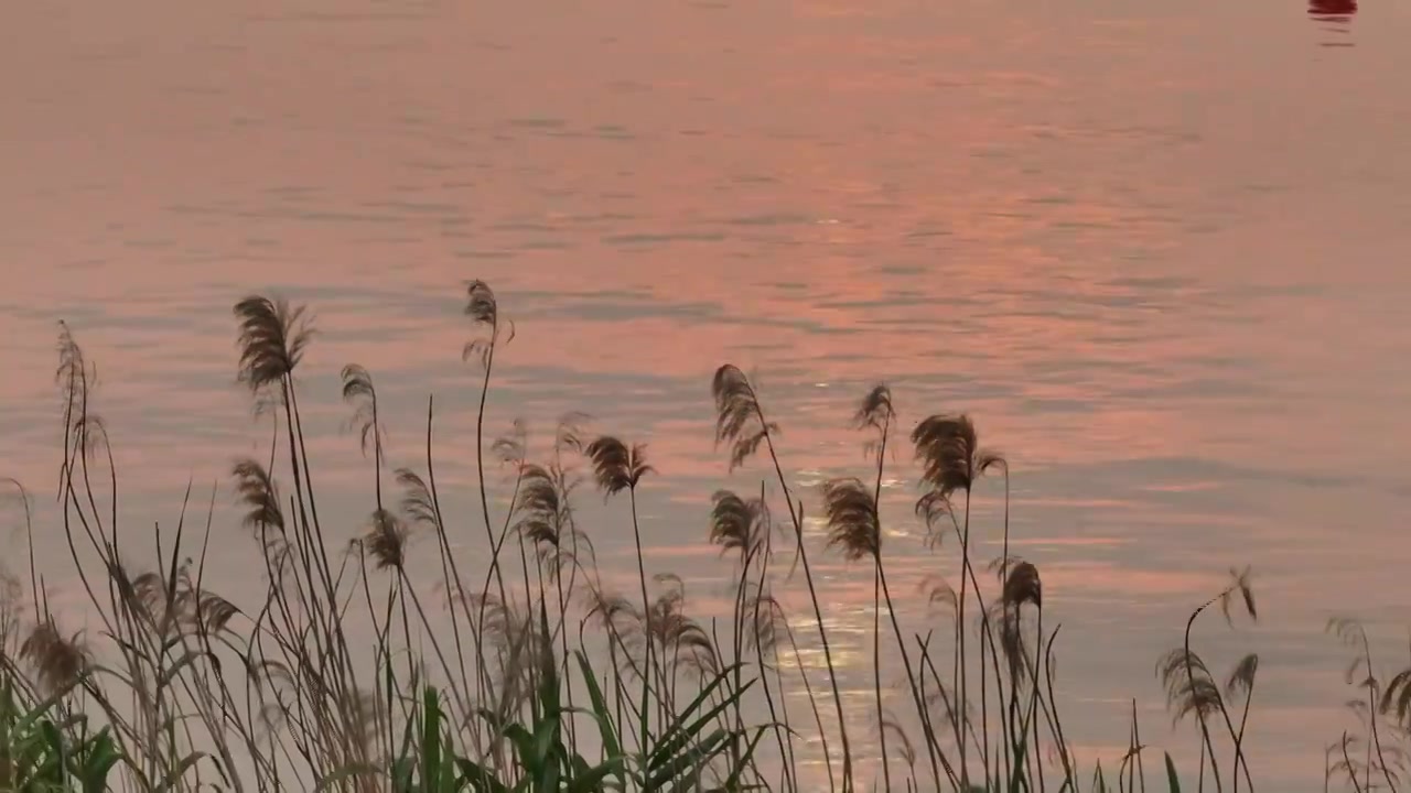 航拍南京长江夕阳视频下载