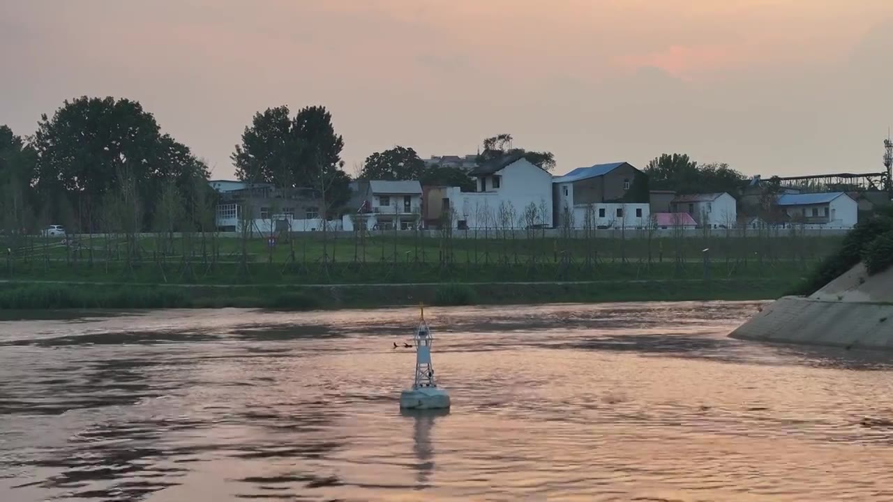 夏天周口川汇区沙颍河与贾鲁河河道泄洪场景视频素材