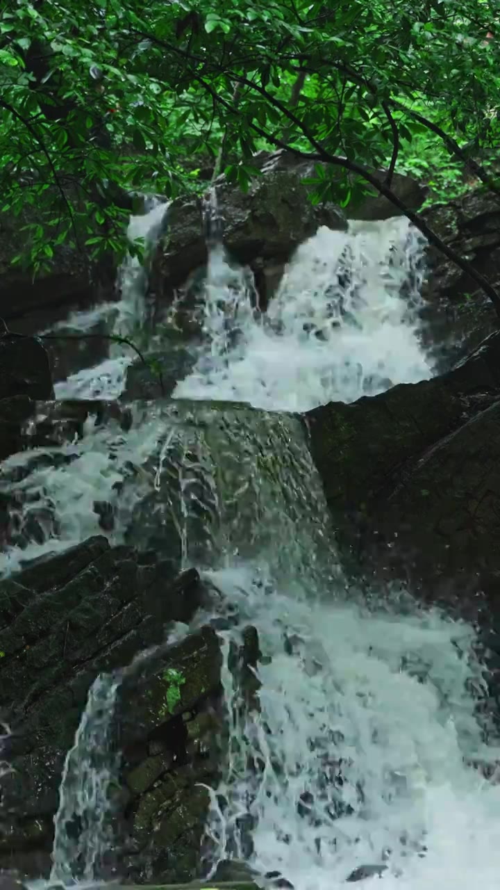 （竖屏）山间瀑布 生态 唯美 流水 流动生态低碳 岩石 击打拍打视频素材