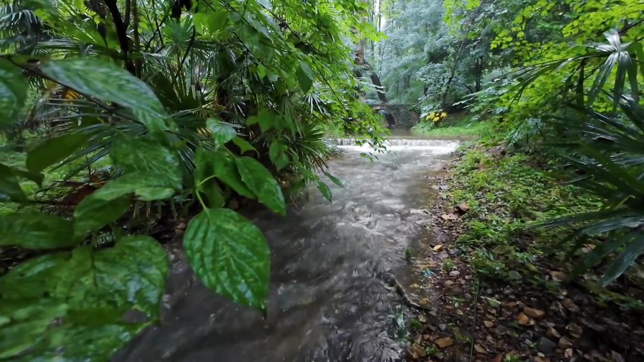 山间瀑布 生态 环境 流水 流动生态 低碳岩石击打拍打视频素材