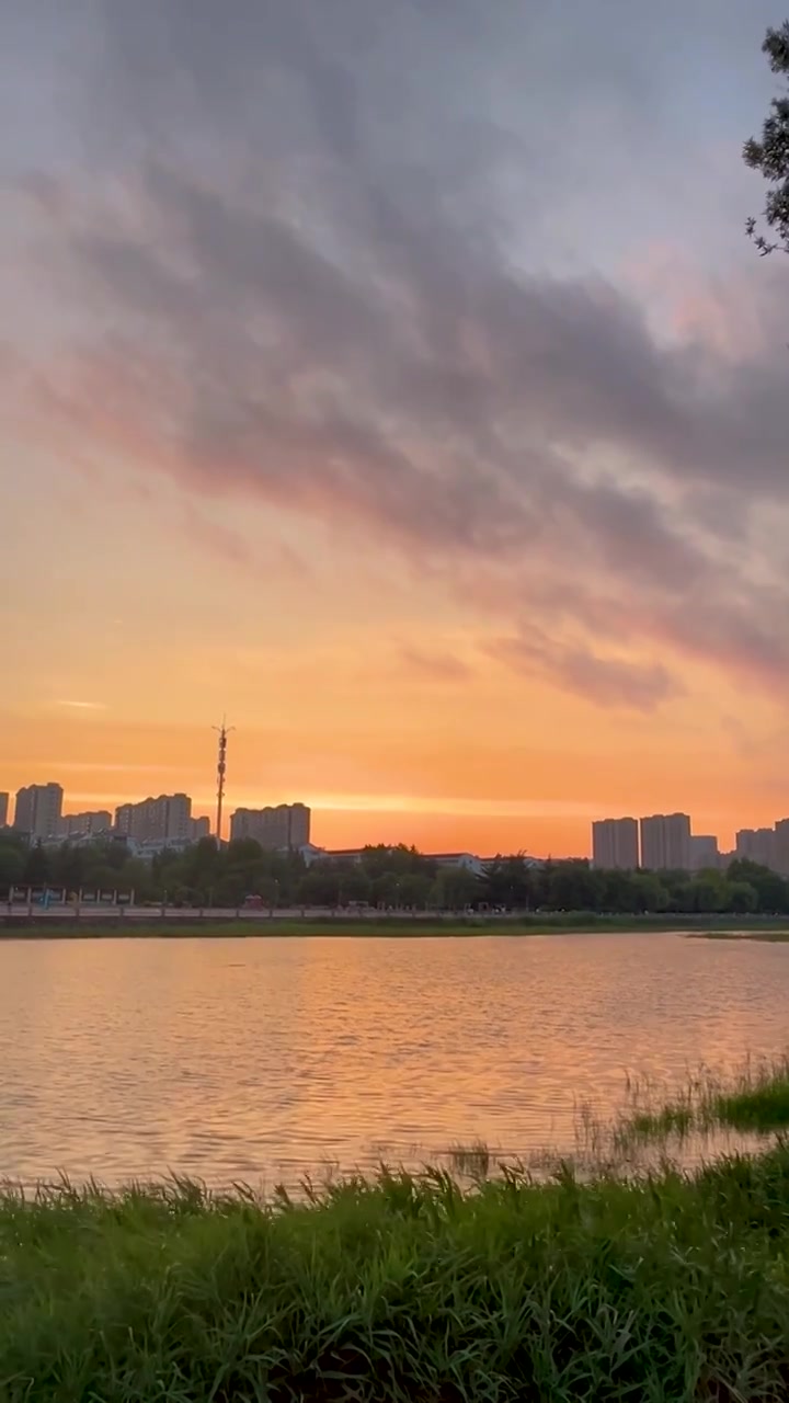 竖屏城市河流晚霞风景视频素材