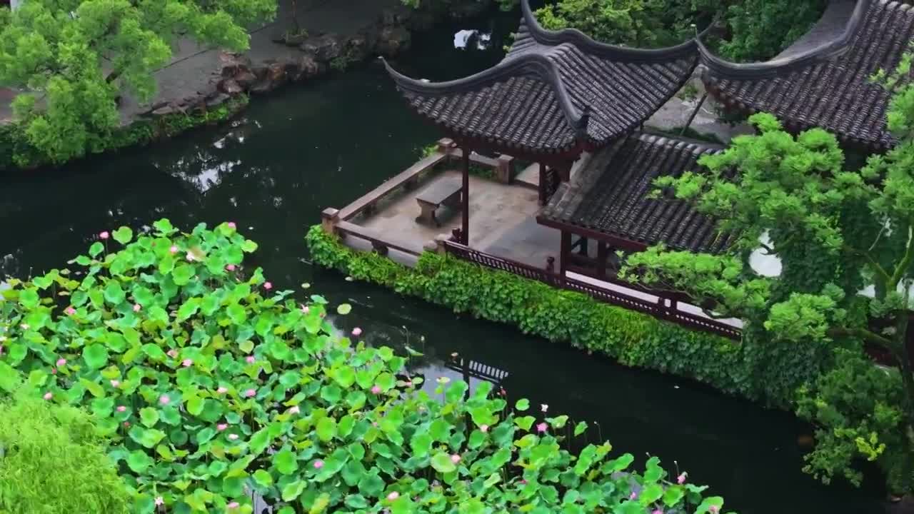 夏季雨后拙政园航拍合集视频素材