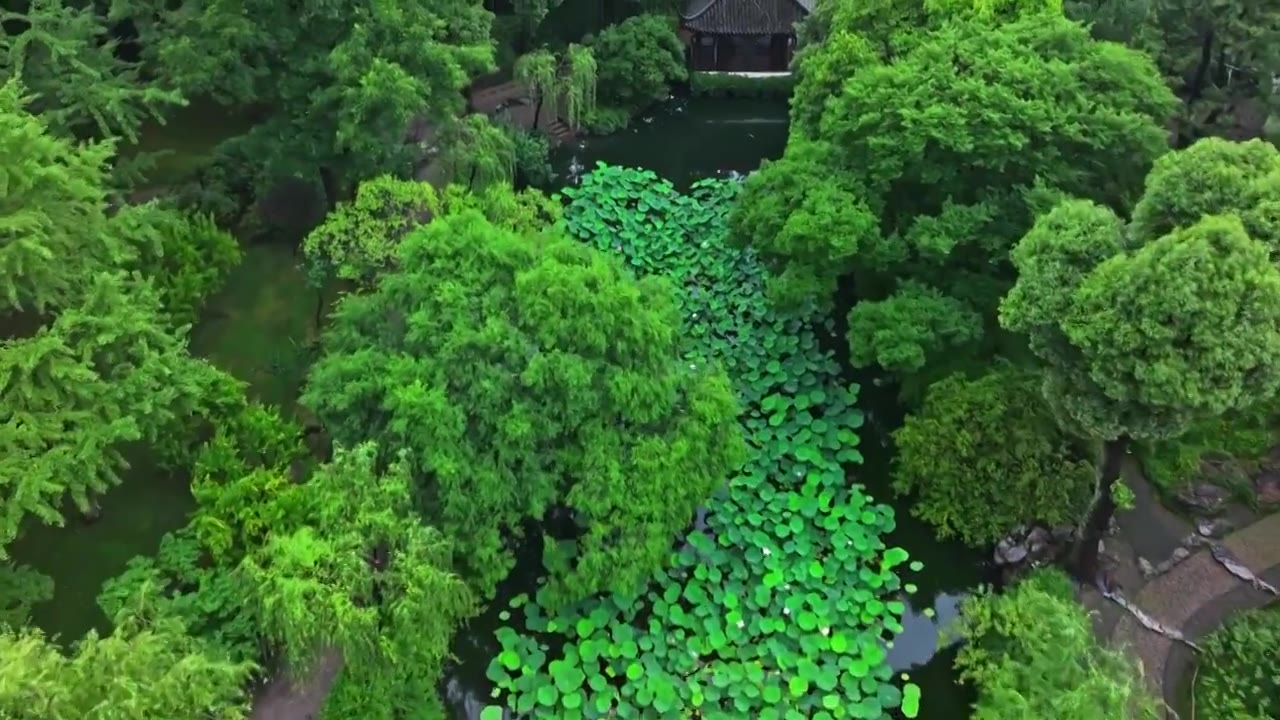 夏季雨后拙政园航拍视频素材