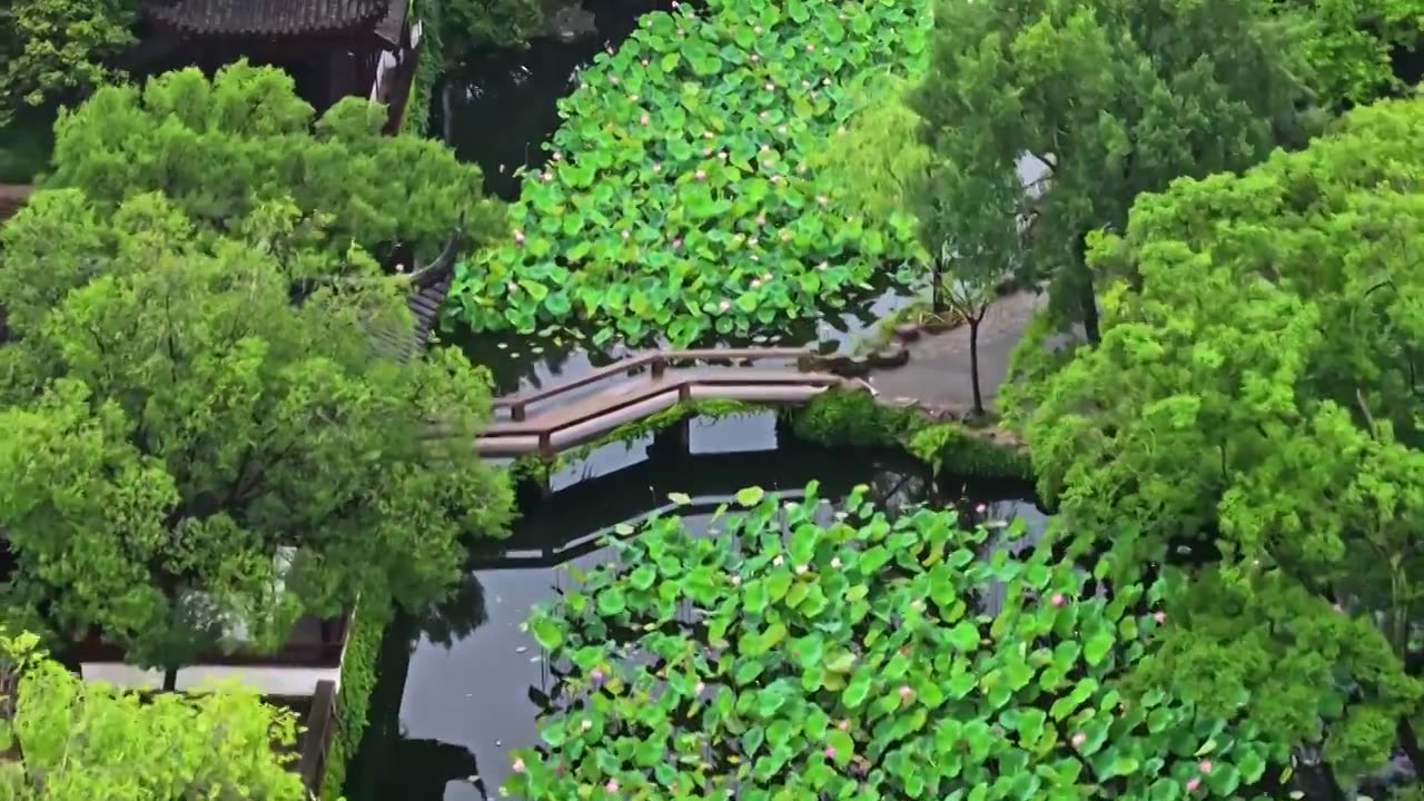 夏季雨后拙政园航拍视频素材