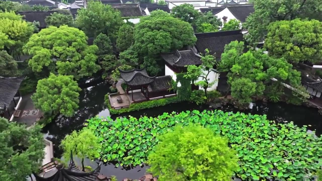 夏季雨后拙政园航拍视频素材