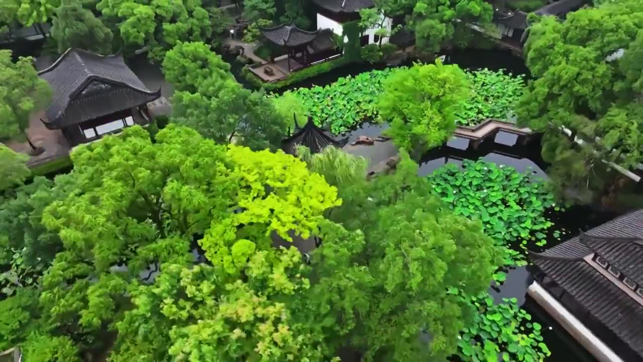 夏季雨后拙政园航拍视频素材