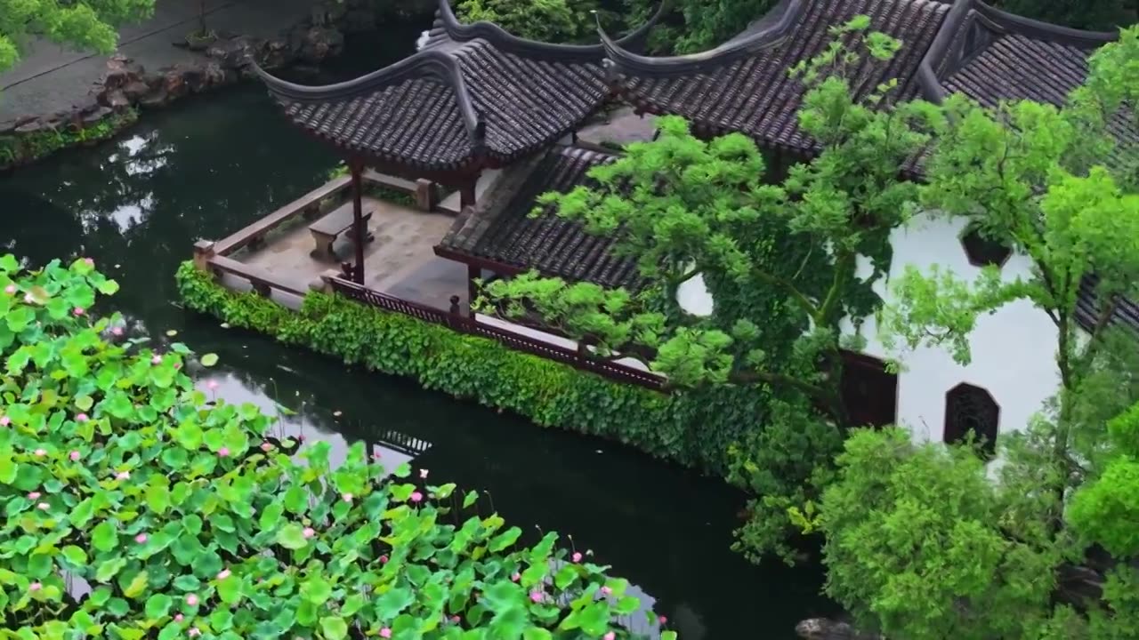 夏季雨后拙政园航拍视频素材