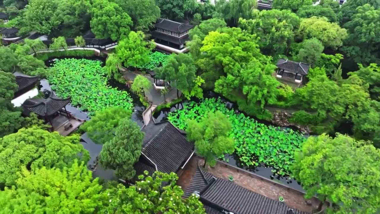 夏季雨后拙政园航拍视频素材