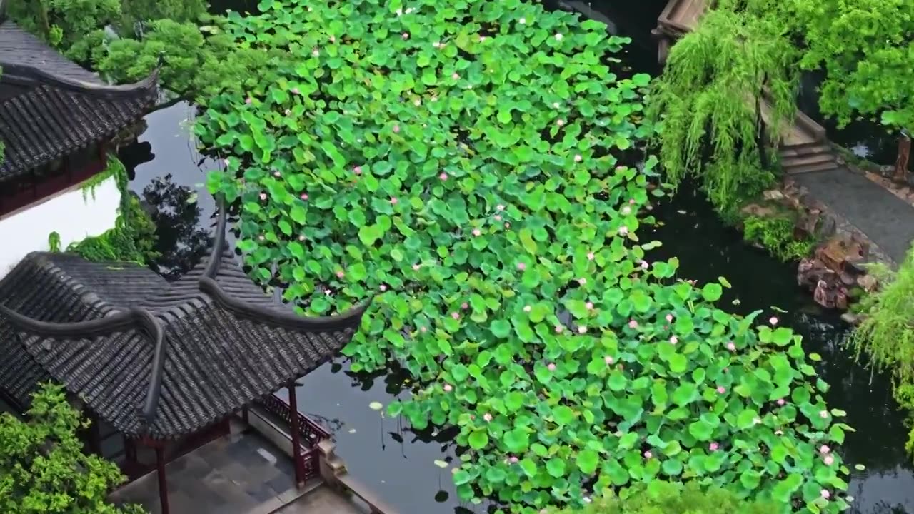 夏季雨后拙政园航拍视频素材