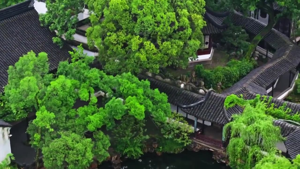 夏季雨后拙政园航拍视频素材