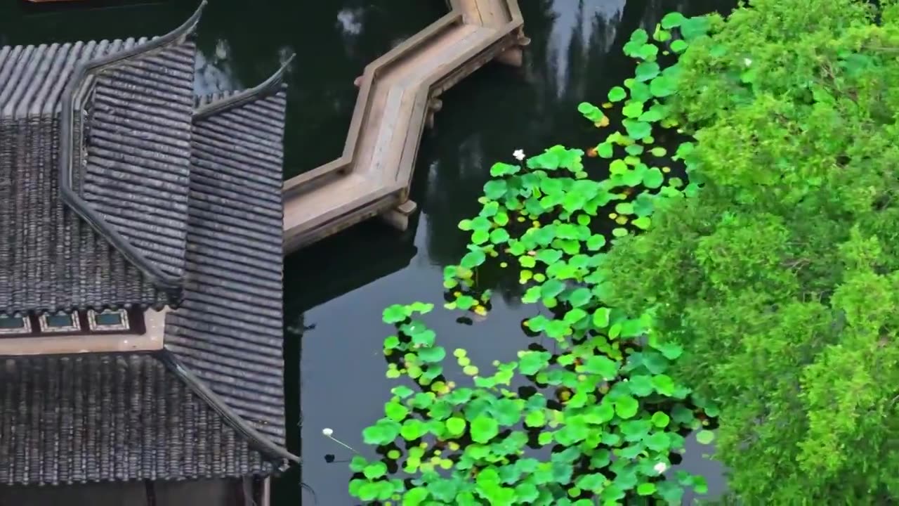 夏季雨后拙政园航拍视频素材