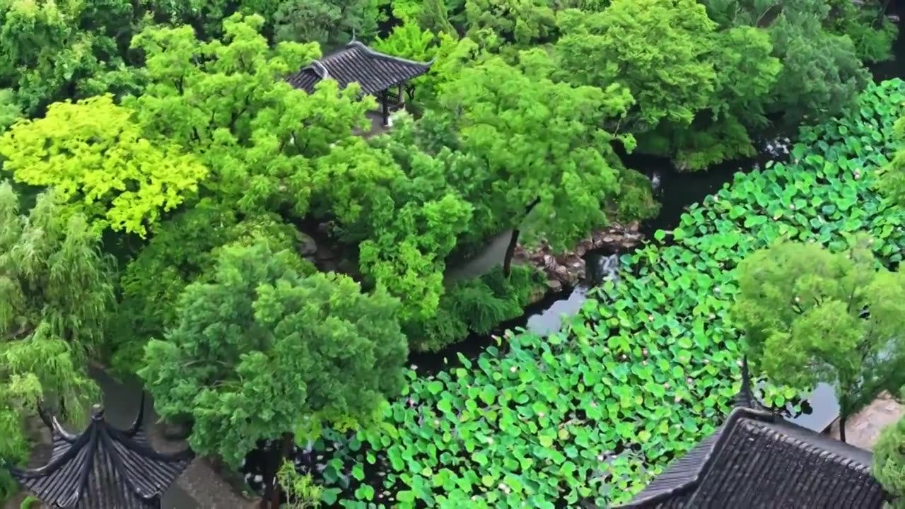 夏季雨后拙政园航拍视频素材