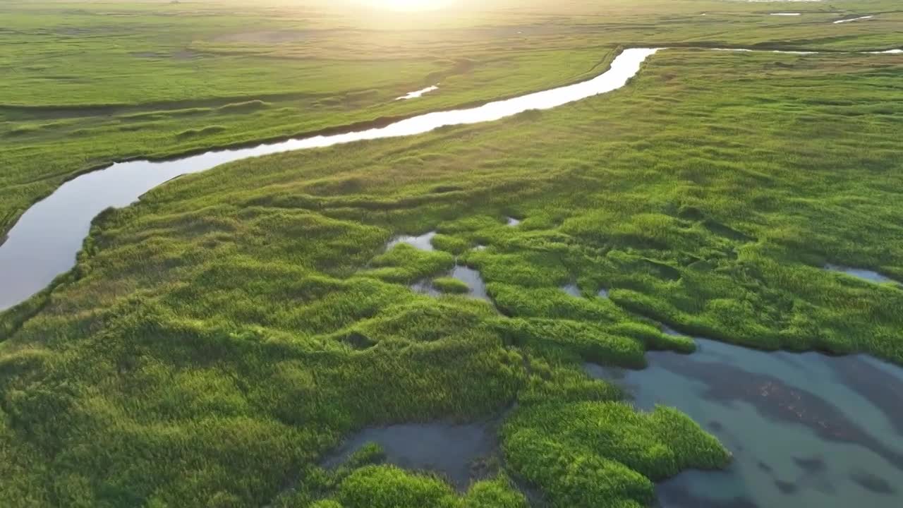 湖泊湿地日出湿地生态自然合集视频素材