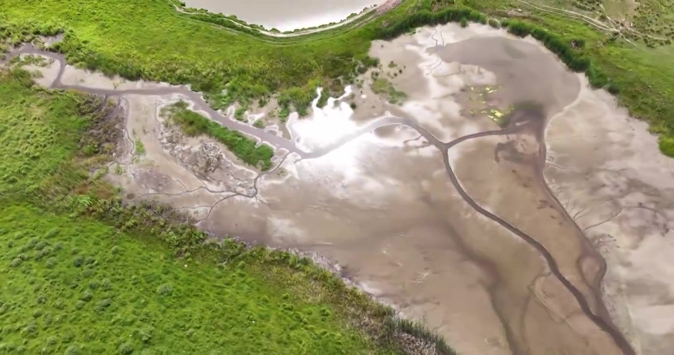 新疆伊犁州昭苏湿地公园夏天航拍视频素材