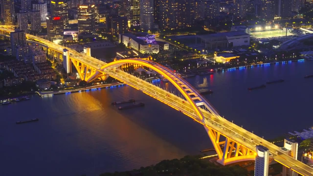 航拍上海城市夜景卢浦大桥世博园视频素材