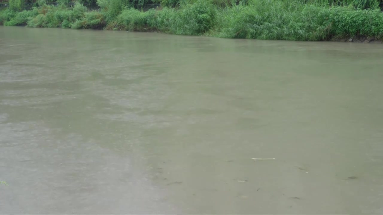 暴雨天下雨天河道涨水暴雨内涝自然灾害概念视频素材