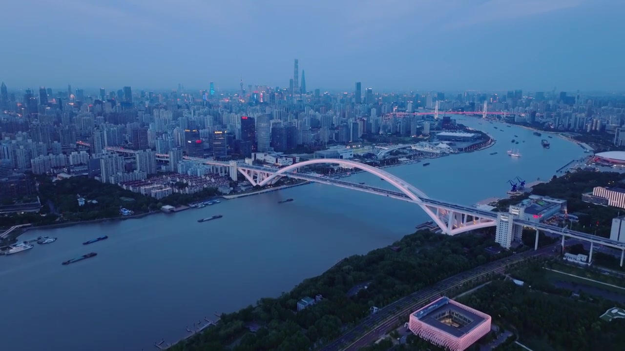 航拍上海城市夜景卢浦大桥世博园视频素材