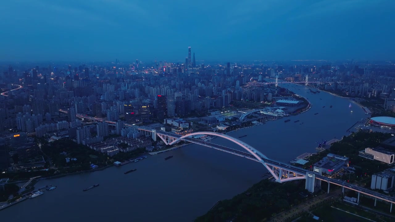 航拍上海城市夜景卢浦大桥世博园视频素材