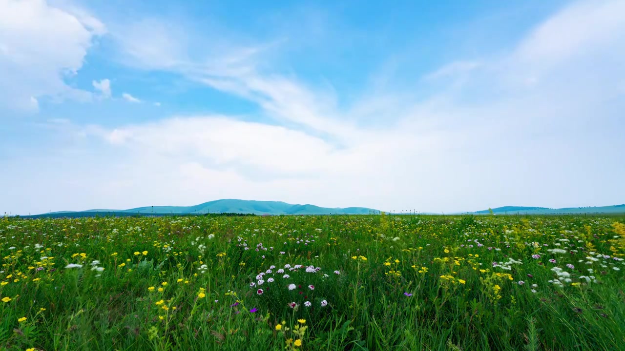 内蒙古草原风景视频素材