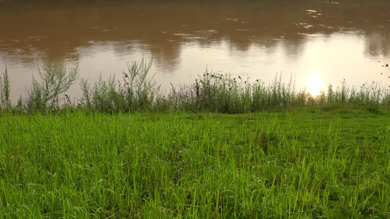 连续多日的雨季让陕西西安境内河流的水位暴涨，清水河变成了混浊的浊水河，河水与岸边的绿色草地视频素材