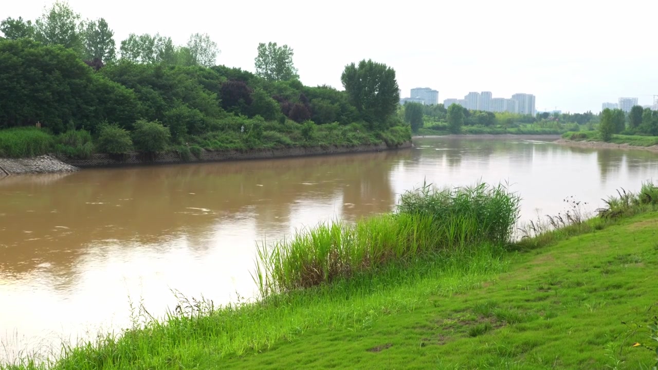 连续多日的雨季让陕西西安境内河流的水位暴涨，清水河变成了混浊的浊水河，河水与岸边的绿色草地视频下载