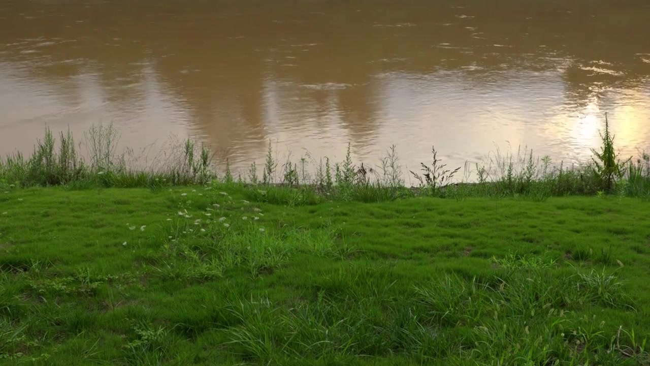 连续多日的雨季让陕西西安境内河流的水位暴涨，清水河变成了混浊的浊水河，河水与岸边的绿色草地视频下载