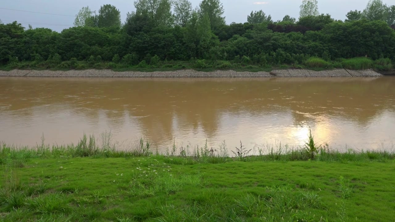 连续多日的雨季让陕西西安境内河流的水位暴涨，清水河变成了混浊的浊水河，河水与岸边的绿色草地视频下载